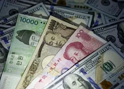 Dự trữ quốc tế của Nga đạt mức cao nhất lịch sử