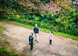 Hướng đi mới cho du lịch Ba Vì