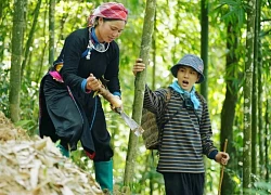 Livestream với chị Thông Gia đình Haha, Duy Khánh lại "rối như tơ vò" vì nói 1 chữ tiếng Việt nhiều người hiểu sai!