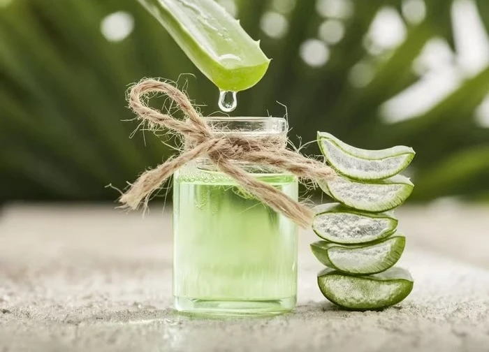 Lô hội tốt cho da như thế nào?