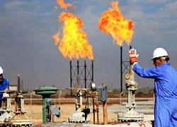 Mỹ áp đặt lệnh trừng phạt mới nhắm vào hoạt động buôn bán dầu mỏ của Iran