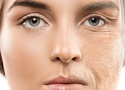 Phát hiện nhóm protein mới có thể làm chậm lão hóa, ngăn chặn ung thư