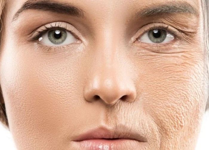 Phát hiện nhóm protein mới có thể làm chậm lão hóa, ngăn chặn ung thư