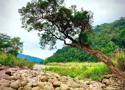 Phê duyệt Đề án du lịch sinh thái, giải trí Vườn quốc gia Vũ Quang