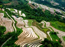 Ruộng bậc thang Khuổi My vào mùa nước đổ