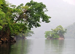 Thác Đầu Đẳng - thác nước hoang sơ nhất ở châu Á dành cho du khách