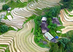 Tháng 7 lên Lao Chải ngắm ruộng bậc thang