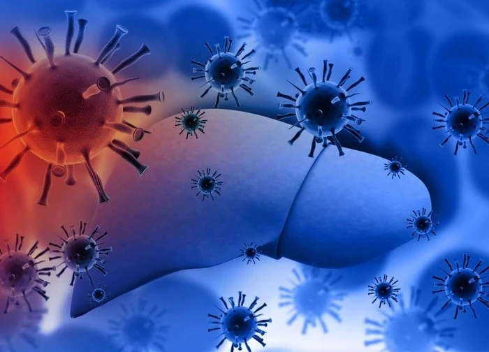 Thêm liệu pháp điều trị virus viêm gan C cấp tính