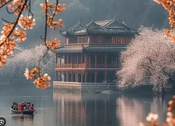 7 ngày sinh cát tường trong Âm lịch: Thanh xuân vất vả, hậu vận phú quý bền lâu