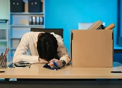 Cách AI sẽ định hình lại tương lai việc làm