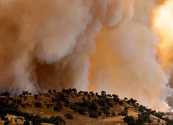 Cháy rừng hoành hành tại Thổ Nhĩ Kỳ và Syria