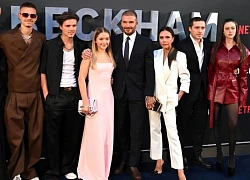 Con cả bất hiếu nhà Beckham nay "báo hại" đến cả em gái út Harper Seven