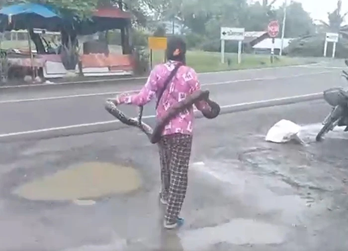 Đang đi dạo, bất ngờ thấy cảnh tượng "nổi da gà"