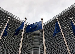 EU loay hoay tìm lối thoát trước hạn chót thuế quan của Mỹ