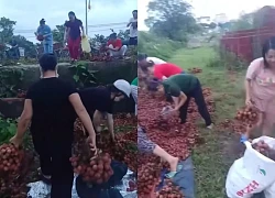 Hà Nội: Xe tải gặp nạn phải cẩu đi sửa, chủ xe khóc ròng khi quay lại đã bị "hôi" hết 4 tấn vải