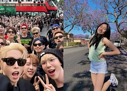Jenny Huỳnh khiêu khích dàn "Anh trai say hi", hai anh trai vào tận MXH "dằn mặt"