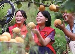 Làn sóng 'nông dân mới' và sự thay đổi trong cách tiêu thụ nông sản ở Trung Quốc