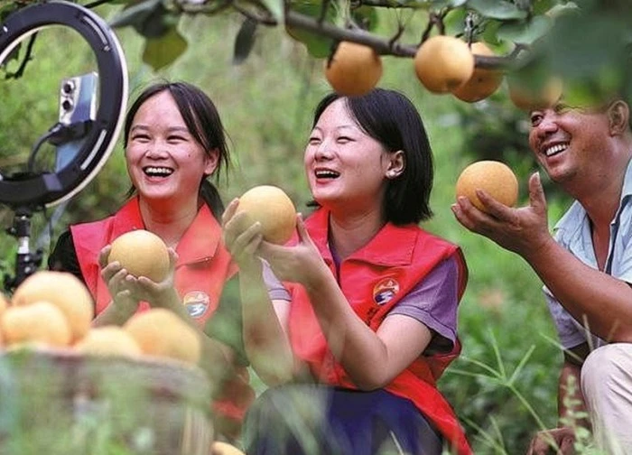 Làn sóng 'nông dân mới' và sự thay đổi trong cách tiêu thụ nông sản ở Trung Quốc
