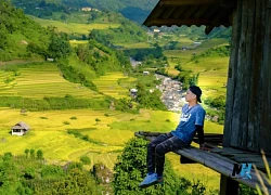 Lên lịch ngắm 'mùa vàng' tại Mường Bo, Lào Cai