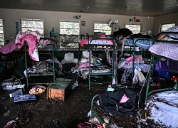 Lũ lụt ở Texas: Số người thiệt mạng tăng mạnh, Tổng thống Trump ban bố tình trạng thảm họa