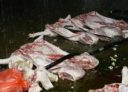 Phát hiện lò chuyên mổ, cung cấp lợn nhiễm virus tả ở Hà Nội