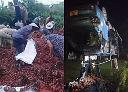 Tài xế chất vải ven đường để sửa xe bị lật, người dân tưởng 'hàng bỏ' thi nhau lấy