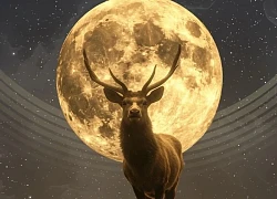 Trăng Tròn Buck Moon ngày 10/7: 3 chòm sao này sẽ bị ảnh hưởng mạnh nhất, tình cảm - tiền bạc - sự nghiệp đều biến động sâu sắc!