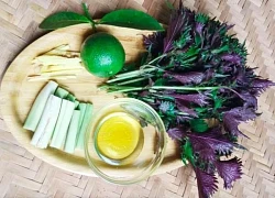 Uống nước lá tía tô với chanh, sả, gừng có tác dụng gì?