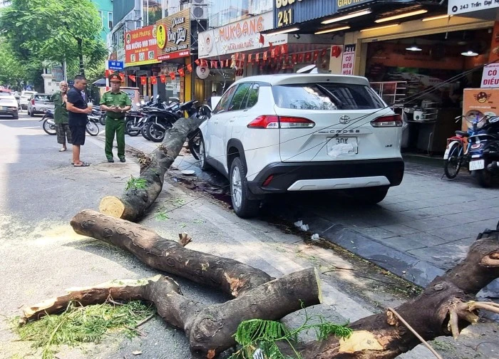 Vụ ô tô tông loạt xe máy ở Hà Nội: Chuyển cơ quan điều tra làm rõ nguyên nhân