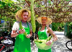 Huế đón hơn 1,1 triệu khách quốc tế nhờ phát triển du lịch di sản xanh