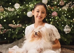 Ái nữ nhà Hoa hậu Hà Kiều Anh gây sốt: Vẻ đẹp thanh tú, phong thái dịu dàng của một "tiểu thư dòng dõi trâm anh"