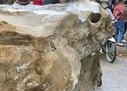 Bé gái 2 tuổi bị đá từ trên đồi rơi xuống đè tử vong