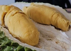 Bộ trưởng Malaysia thúc giục khách sạn 'mở cửa' cho sầu riêng