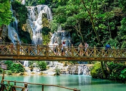 Chạm vào Tat Kuang Si, "viên ngọc xanh" của Luang Prabang