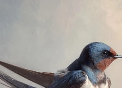 Chọn 1 biểu tượng bạn yêu thích nhất để biết tháng 7 này bạn sẽ nhận được tin vui nào từ vũ trụ?