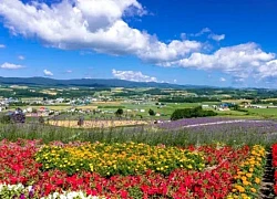 Cơ hội tăng trưởng du lịch song phương