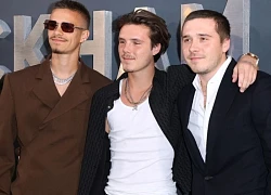 Đây là lý do khiến 2 con trai nhà Beckham thẳng tay "block" dằn mặt vợ chồng anh cả bất hiếu