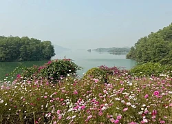 Đến đảo Hoa, thả hồn vào bình yên