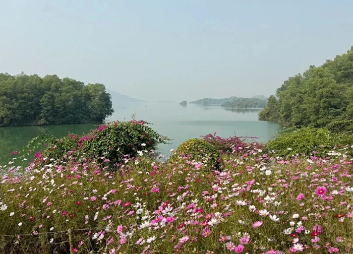 Đến đảo Hoa, thả hồn vào bình yên