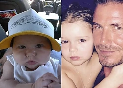 Đến lượt bố David Beckham chúc mừng sinh nhật tiểu thư út: Harper Seven mới ngày nào còn ẵm ngửa, giờ đã thành thiếu nữ xinh xắn