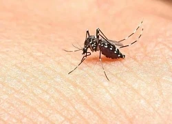 Dịch sốt xuất huyết 'vào mùa' cao điểm