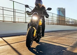 Triumph Trident 660 2025 trình làng hội tụ 'tuyệt đỉnh' công nghệ