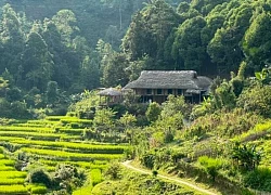 Homestay - Xu hướng lưu trú được yêu thích: Tại sao lại hấp dẫn đến vậy?
