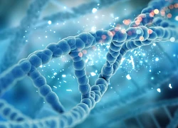 Israel phát triển vaccine mRNA đầu tiên trên thế giới chống lại vi khuẩn gây chết người