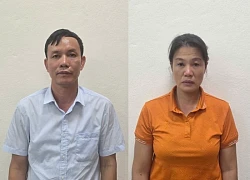 Khởi tố, bắt tạm giam giám đốc một công ty lâm nghiệp ở Quảng Ninh