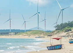 Làng chài ở Gia Lai có biển xanh cát trắng, cầm 50 ngàn 4 người ăn sáng no nê