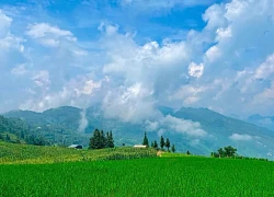 Lên Tuyên Quang ngắm 'thảo nguyên xanh' ở Pà Vầy Sủ