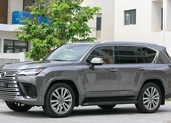 Lexus NX 250 Luxury 2022: Giá chỉ 1,2 tỷ đồng tại Việt Nam