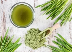 Lúa mạch non - nguồn năng lượng xanh cho cơ thể khỏe mạnh