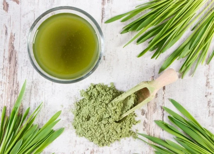 Lúa mạch non - nguồn năng lượng xanh cho cơ thể khỏe mạnh